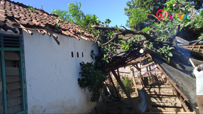 Pohon tumbang akibat angin kencang menimpa rumah warga