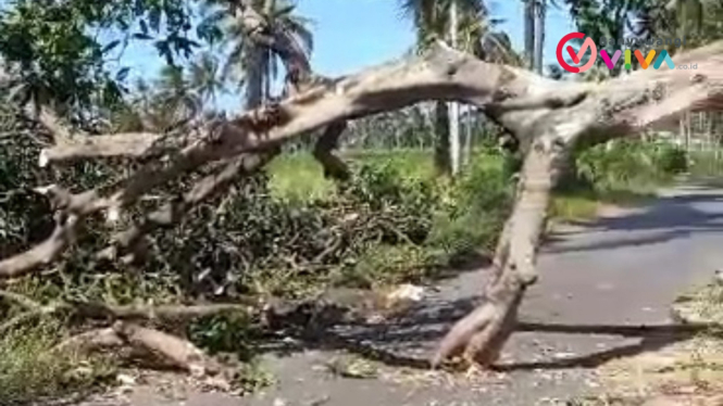 Pohon tumbang menghalangin akses jalan