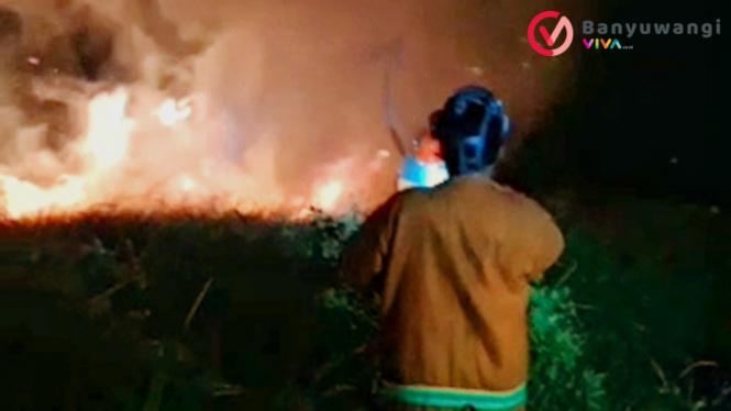 Petugas Damkar berusaha memadamkan kebakaran