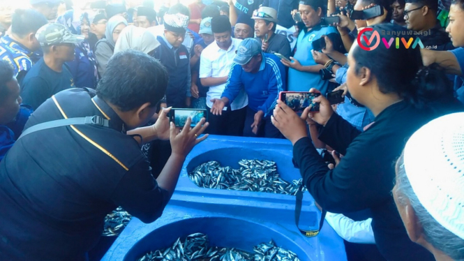 Anis Baswedan meninjau produksi ikan asin di Muncar