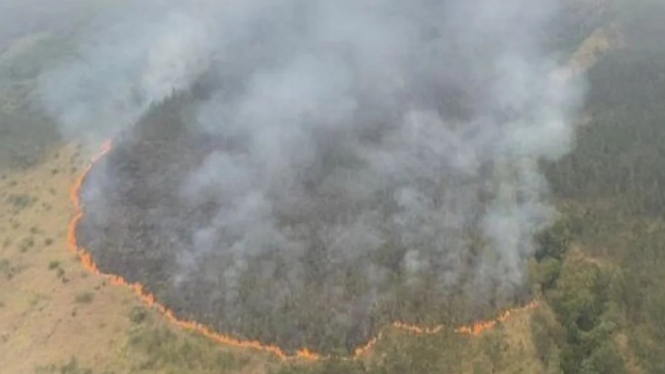 Kebakaran dilokasi bukit lahan Gunung Arjuno