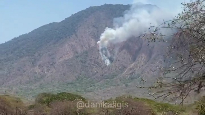Video Detik - Detik Gunung Baluran Terbakar Berhasil Diabadikan