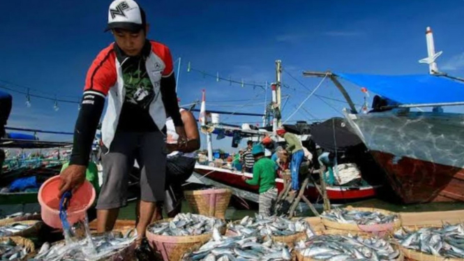 Aktivitas nelayan di pelabuhan ikan Masami, kembali beraktifitas.