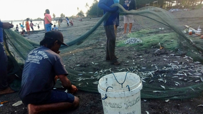 Nelayan mengambil ikan yang menepi di pantai Gumuk Kantong Banyuwangi