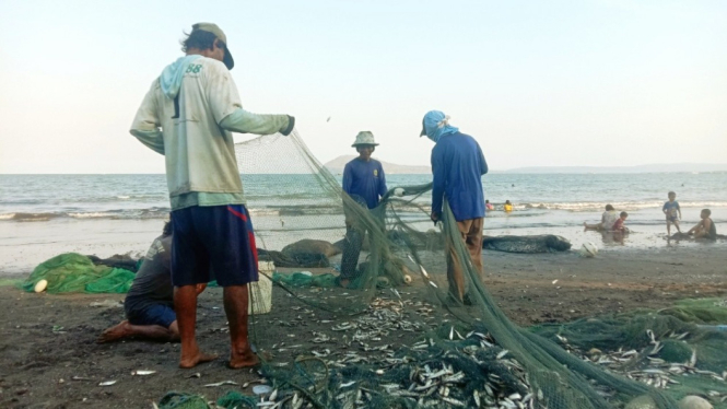 Ikan menepi di pantai Gumuk Kantong jadi berkah bagi nelayan
