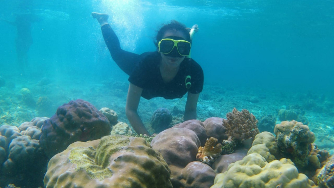 Wisatawan snorkeling di Pulau Tabuhan