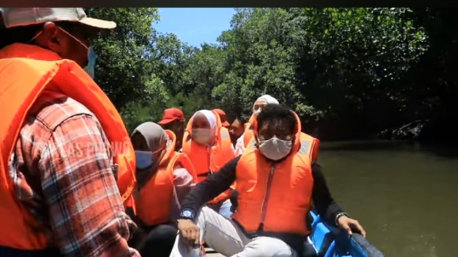 Wisata Terbaru di Mangrove Bedul Banyuwangi