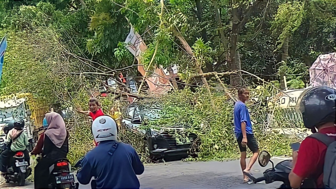 Mobil tertimpa pohon akibat angin kencang
