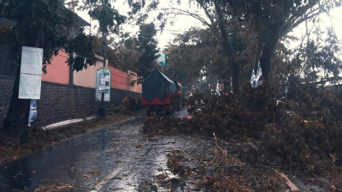 Pohon tumbang penuhi ruas jalan