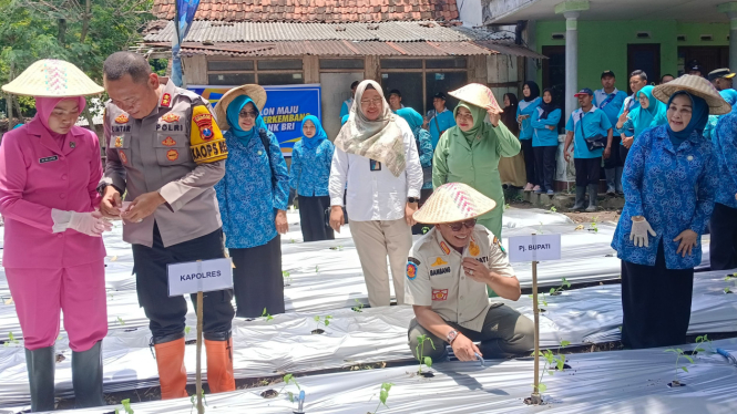 PJ Bupati Bondowoso menanam cabe di Desa Lombok Kulon