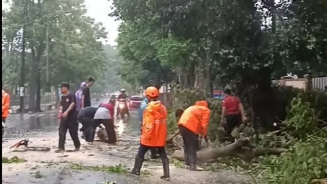 Petugas bersihkan pohon tumbang