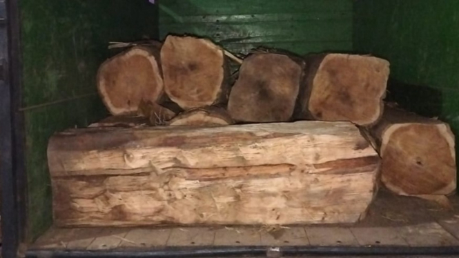 16 Glondong kayu jati ilegal diamankan