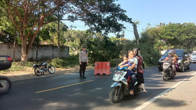 Pohon Tumbang menghalangi sebagian jalan di Jalur Pantura Situbondo