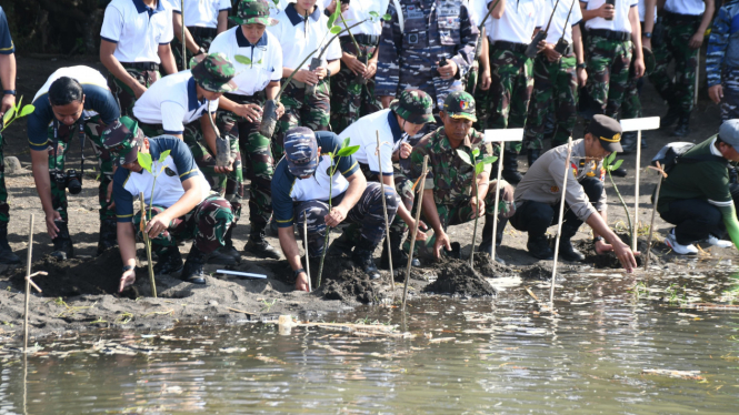 Penanaman Mangrove oleh TNI AL