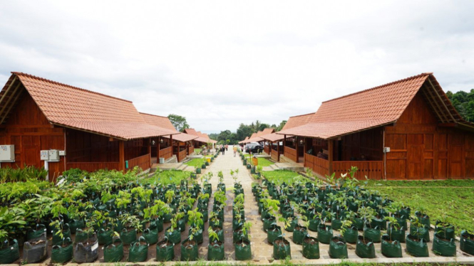 Banyuwangi Festival Hadirkan "Sepekan di Agrowisata Tamansuruh"