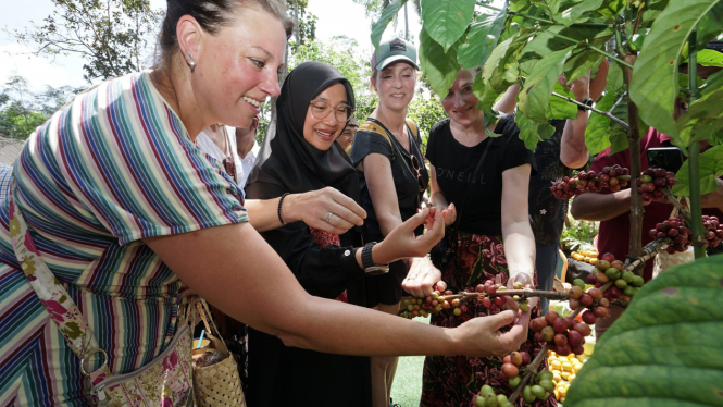 Banyuwangi Gelar Festival Kopi Kalibaru