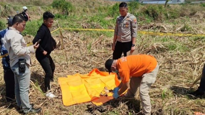 Penemuan tengkorak manusia di lahan tebu