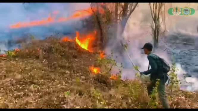 Taman Nasional Baluran kembali terbakar