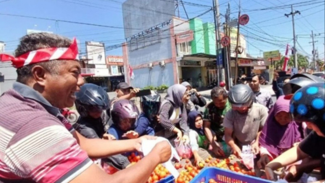 Harga Anjlok, Petani Jember Frustasi Bagi Tomat Gratis