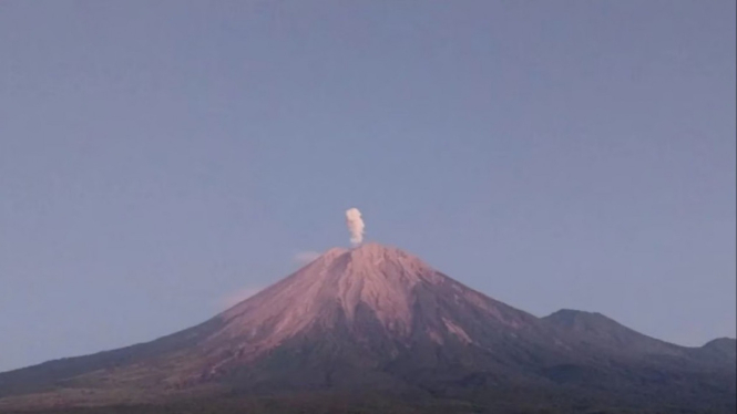 Semeru Kembali Luncurkan Abu Vulkanik Setinggi 800 Meter