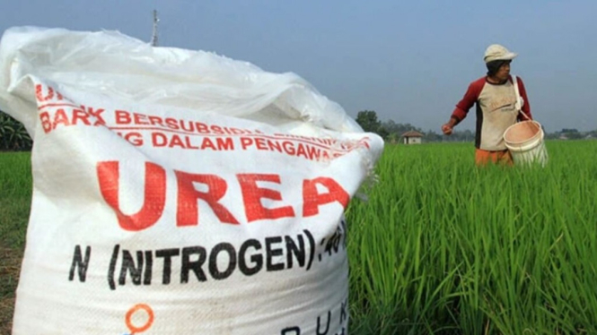 Petani gunakan pupuk bersubsidi