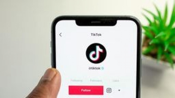 Lagu Viral TikTok 2024