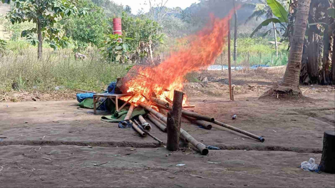 Gerebek Sabung Ayam di Pesanggaran, Polsek Bakar Barang Bukti