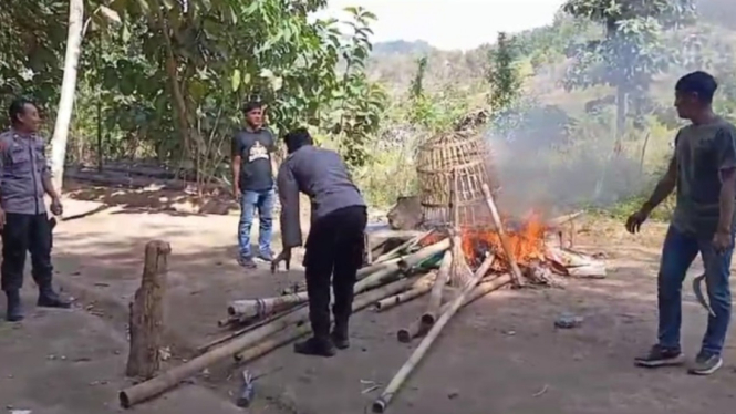 Polisi Membakar Area Sabung Ayam