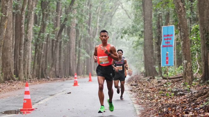 Serunya Susuri Hutan dan Pantai di Alas Purwo Jungle Run