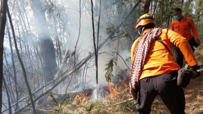 Petugas berupaya padamkan kobaran api