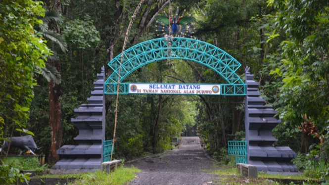 Pintu Masuk Taman Nasional Alas Purwo Banyuwangi