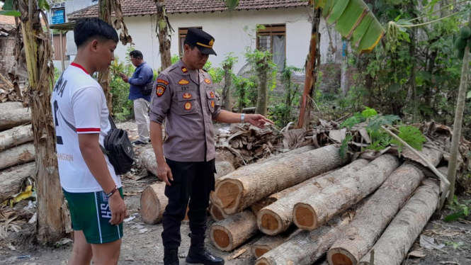 Kapolsek Purwoharjo di Lokasi Penyimpanan Kayu Jati