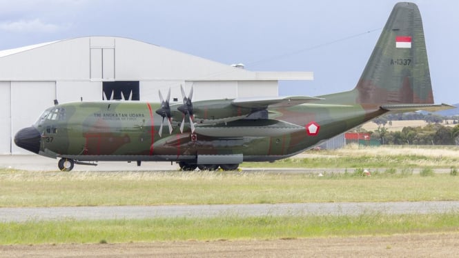 Pesawat C-130 Hercules