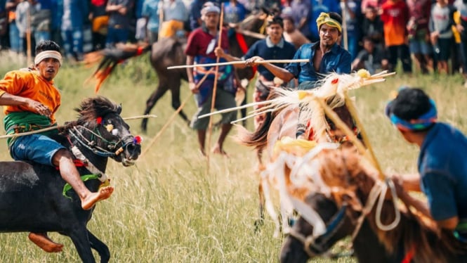 Festival Pasola, Sumba