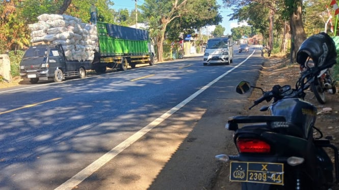 Proses bongkar muat buah kapuk