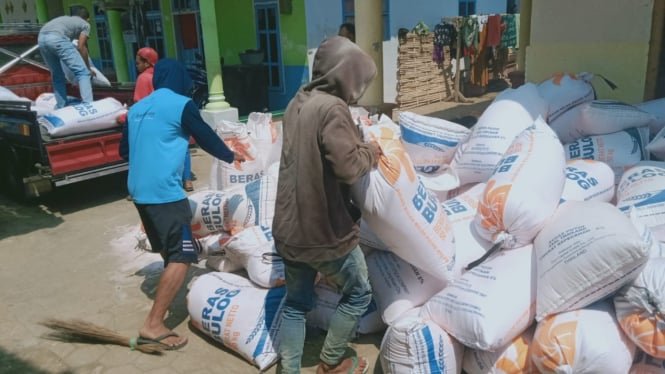 Ratusan kantong pupuk bersubsidi ilegal di bungkus kantong beras bulog