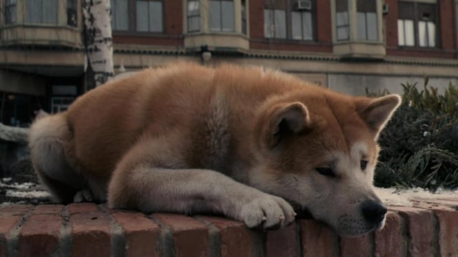 Film, Hachi: A Dog's Tale