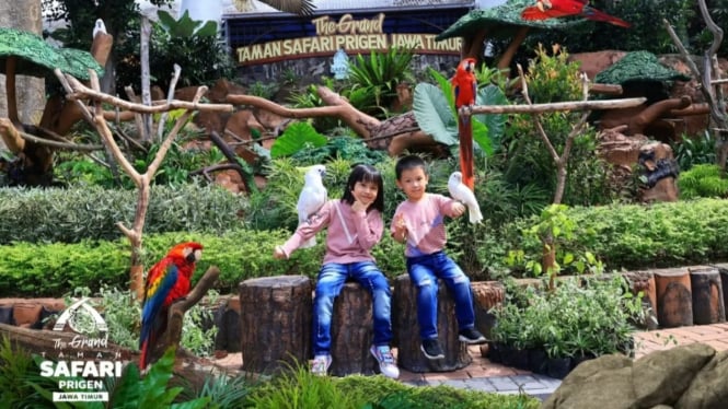 Wisata Taman Safari Prigen