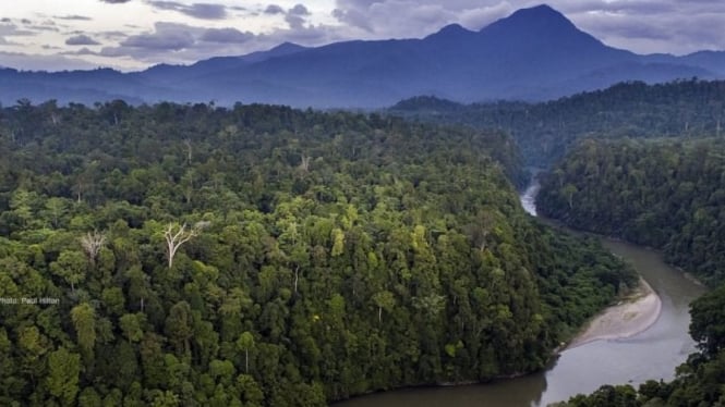 Gunung Leuser: Keajaiban Alam Aceh yang Menawan dan Misterius