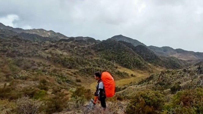 Misteri dan Keindahan Taman Nasional Gunung Leuser