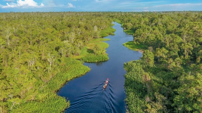 Menguak Tabir Rawa Singkil, Surga Tersembunyi