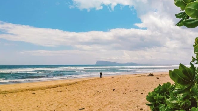 Pantai Trianggulasi Taman Nasional Alas Purwo