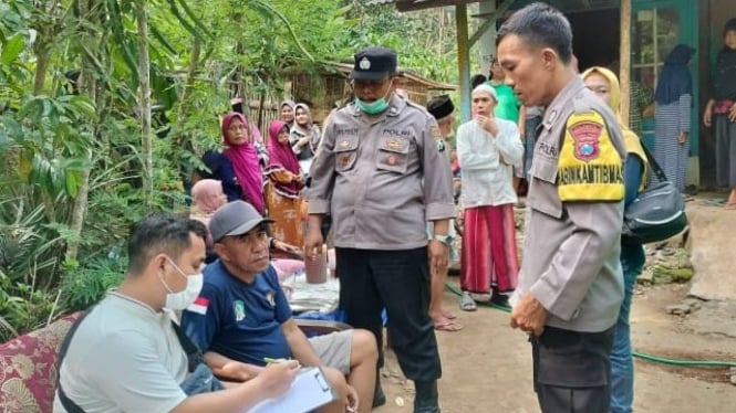 Tragis! Serangan Tawon Gung Rampas Nyawa Warga Banyuwangi