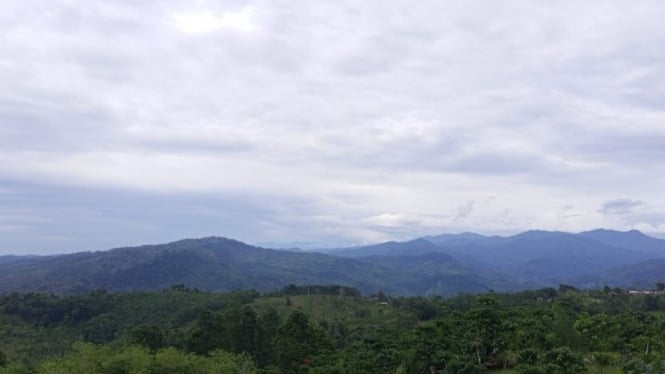 Tersembunyi di Balik Kabut: Pesona Bukit Barisan yang Jarang Tersentuh