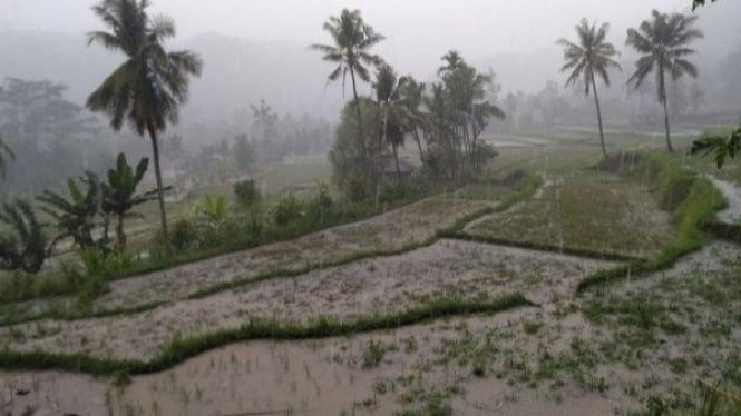 Prakiraan Cuaca Banyuwangi 1 November 2024: Waspadai Hujan