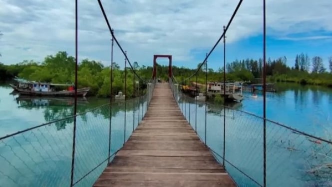 Ekosistem Ajaib di Tengah Kota: Potret Hutan Mangrove Muara