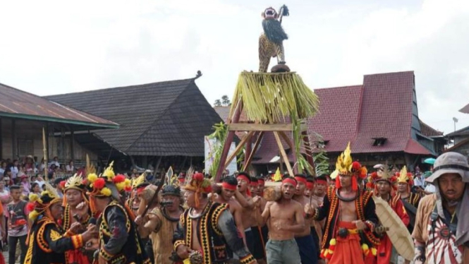 Warisan Budaya Nias: Menyelami Ritual Famado Harimo di Gunung Sitoli