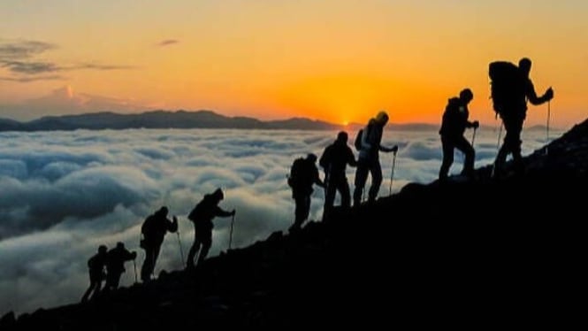 Panduan Lengkap Menaklukkan Puncak Pertamamu