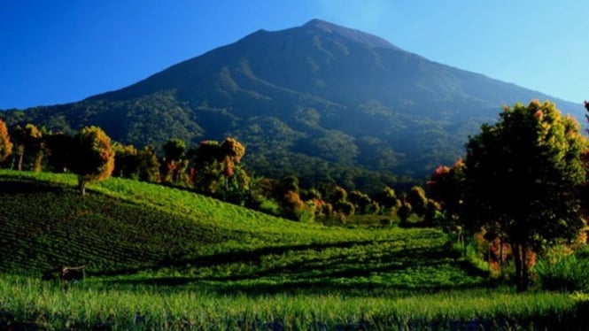 Kerinci Seblat: Surga Tersembunyi di Sumatera