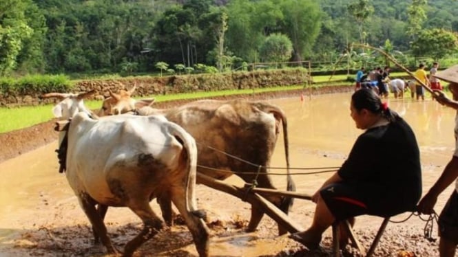 Destinasi Liburan di DI Yogyakarta Ini Menyimpan Sejuta Pesona